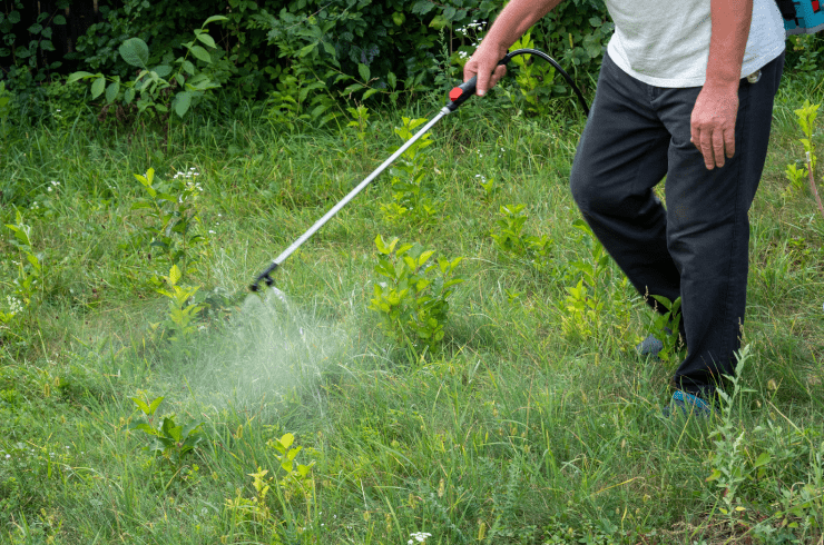 Martinez Gardening